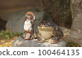 Frog Kimono 100464135