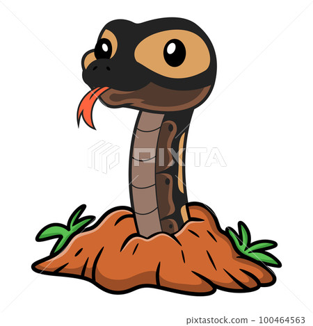 Cute ghi mojave ball python cartoon out from hole 100464563
