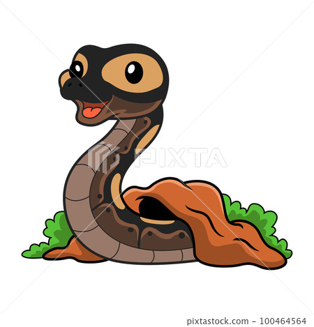 Cute ghi mojave ball python cartoon out from hole 100464564