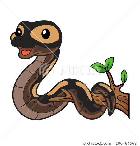 Cute ghi mojave ball python cartoon on tree branch 100464568