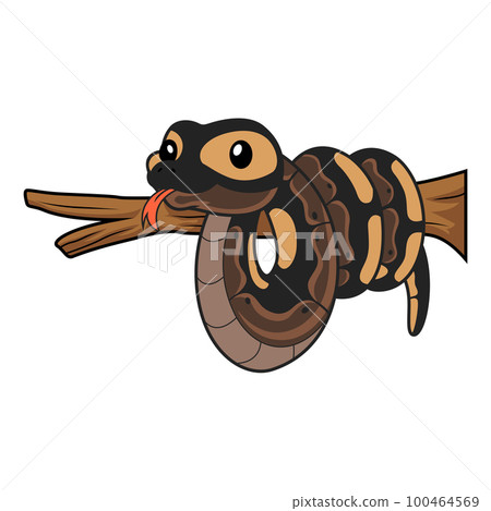 Cute ghi mojave ball python cartoon on tree branch 100464569