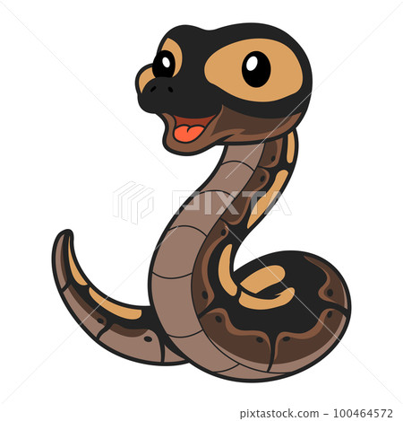 Cute ghi mojave ball python cartoon 100464572