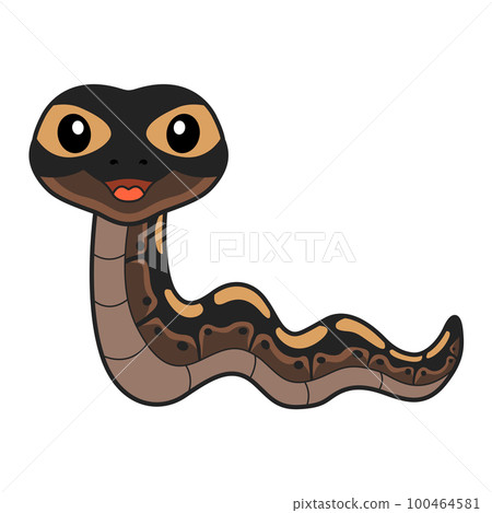 Cute ghi mojave ball python cartoon 100464581