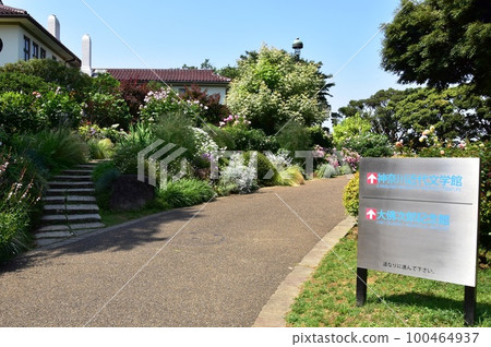 Yokohama City Port View Hill Park walking path, roses in full bloom and information board Yokohama City Port View Hill Park walking path, roses in full bloom and information board 100464937