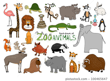 Set of hand-drawn zoo animals Set of hand-drawn zoo animals 100465647