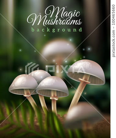 Magic Mushrooms Background 100465660