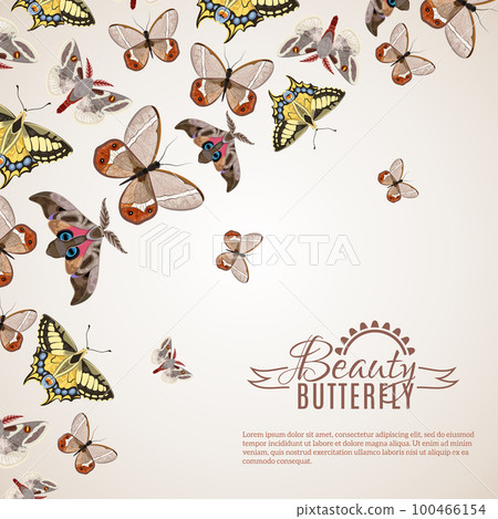 Butterfly Realistic Background Butterfly Realistic Background 100466154