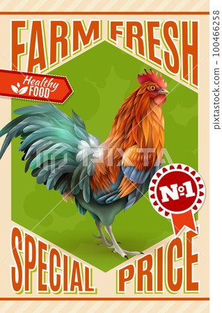 Rooster Farm Sale Offer Vintage Poster Rooster Farm Sale Offer Vintage Poster 100466258