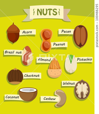 Flat Natural Nuts Elements Collection 100466295