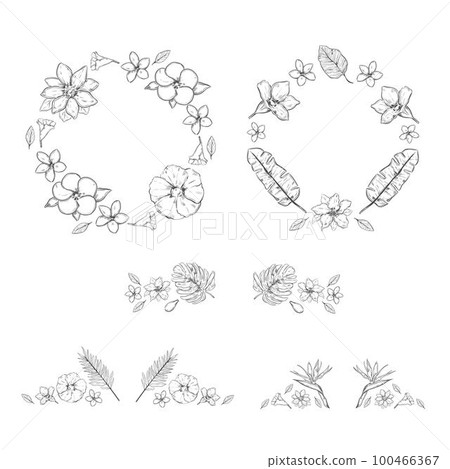 Sketch Monochrome Floral Exotic Plants Collection Sketch Monochrome Floral Exotic Plants Collection 100466367