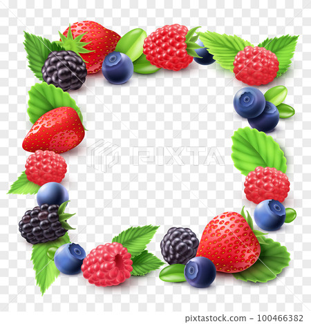 Berry Frame Transparent Illustration 100466382