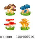 mushrooms in grass 100466510