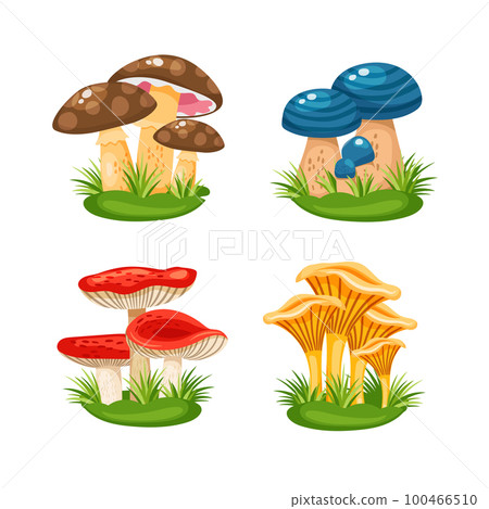 mushrooms in grass mushrooms in grass 100466510
