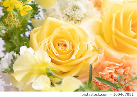 花束禮物 花束禮物 100467091