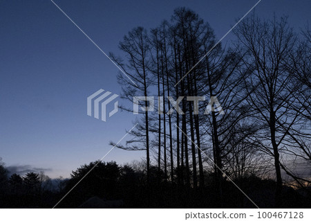 黎明時分 100467128