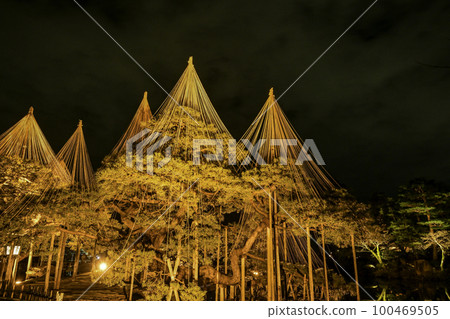 Illuminated Kenrokuen in winter scenery Illuminated Kenrokuen in winter scenery 100469505