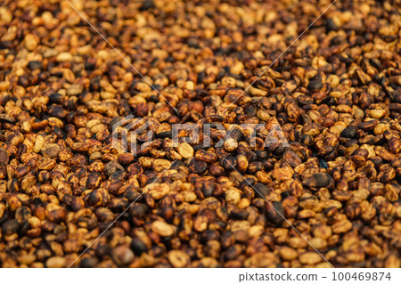 Background of bulk drying of coffee beans under sunlight. The natural drying of the coffee beans by the honey process, removed bulb and remaining sweet for dry. Selective focus. Background of bulk drying of coffee beans under sunlight. The natural drying of the coffee beans by the honey process, removed bulb and remaining sweet for dry. Selective focus. 100469874