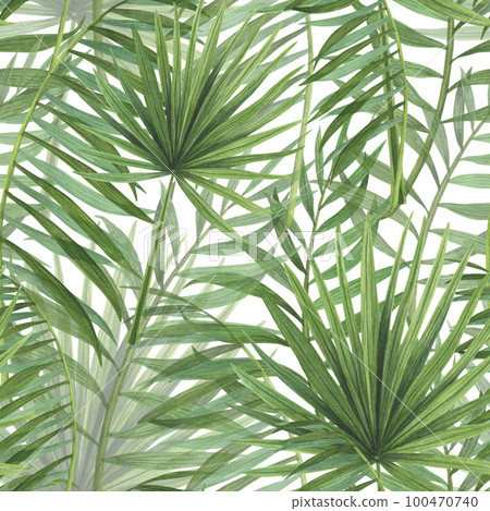 Seamless pattern realistic tropic plants palm watercolor isolated on white. Watercolor hand drawn botanical llustration Seamless pattern realistic tropic plants palm watercolor isolated on white. Watercolor hand drawn botanical llustration 100470740