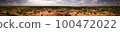 Panoramic landscape view to sahel and oasis, Dogondoutchi, Niger 100472022