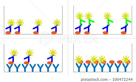 ELISA的4種方法 100472244