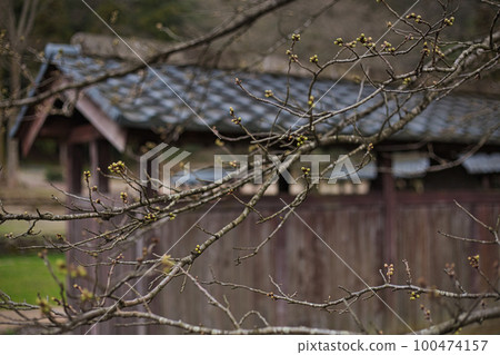 一乘谷朝倉氏遺跡-西山興聖寺石佛 100474157