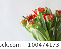 Peony-shaped terry orange-red tulip flowers bouquet boarder on white background. Peony-shaped terry orange-red tulip flowers bouquet boarder on white background. 100474173