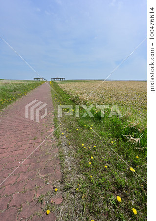 Kiritappu Cape觀景台 Kiritappu Cape觀景台 100476614