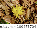 Fukutsugusa Spring 100476704