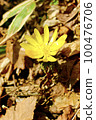 Fukutsugusa Spring 100476706