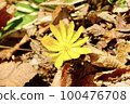 Fukutsugusa Spring 100476708