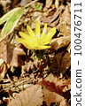 Fukutsugusa Spring 100476711