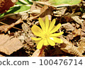 Fukutsugusa Spring 100476714