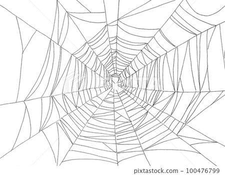 蜘蛛網手繪插畫 100476799