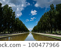 Row of poplar trees and blue sky reflection in Maeda Park 100477966