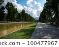 Row of poplar trees and blue sky reflection in Maeda Park 100477967