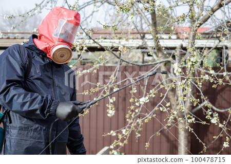 man in protective clothing in the backyard using hand sprayer with pesticides. 100478715