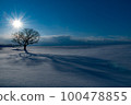 Hokkaido snowfield tree shape 100478855