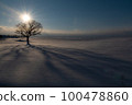 Hokkaido snowfield tree shape 100478860