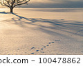Hokkaido snowfield tree shape 100478862