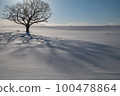 Hokkaido snowfield tree shape 100478864