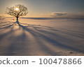 Tree shape at dusk in the snowy field of Hokkaido 100478866