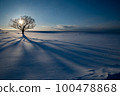 The sun and tree shape in the snowy field of Hokkaido 100478868