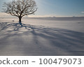 Hokkaido snowfield tree shape 100479073