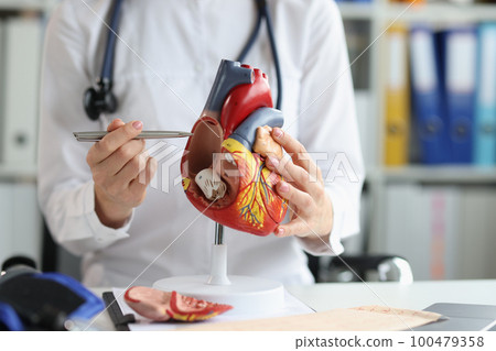 Cardiologist shows the structure and anatomy of human heart Cardiologist shows the structure and anatomy of human heart 100479358