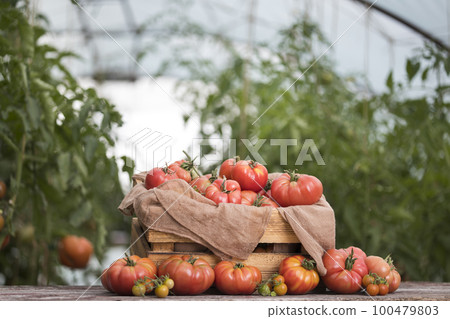 Vegetables, tomatoes on wooden desk 100479803