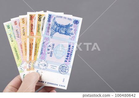 Moldovan leu in the hand on a gray background 100480642