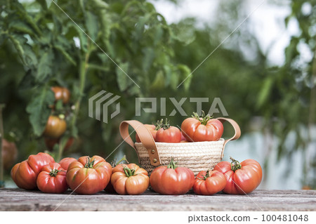 Organic food, Free red vegetables of tomato 100481048