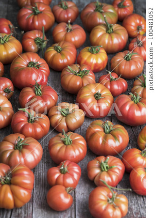 Red Tomatoes in a Greenhouse, organic food 100481052