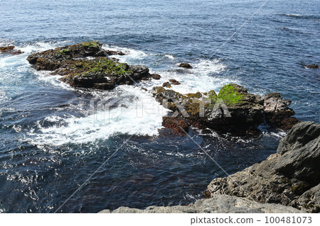 神奈川縣三浦市城島公園的岩石景觀 神奈川縣三浦市城島公園的岩石景觀 100481073