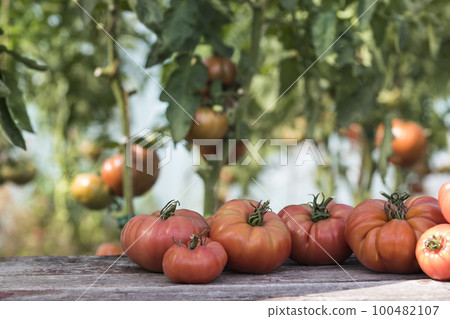 Vegetables, tomatoes on wooden desk Vegetables, tomatoes on wooden desk 100482107